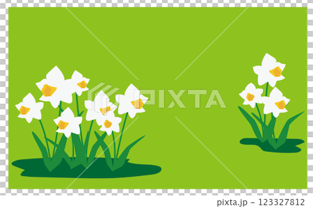 White daffodil background illustration material White daffodil background illustration material 123327812