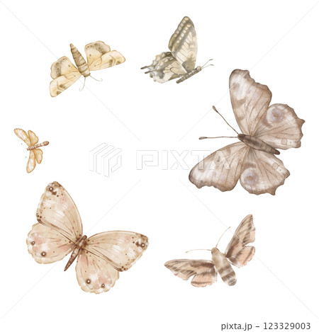 Butterflies Monarch and other flying on white background. Set of delicate cute beige brown butterflies. Hand drawn watercolor illustration on isolated white background. Template for print or frame. 123329003
