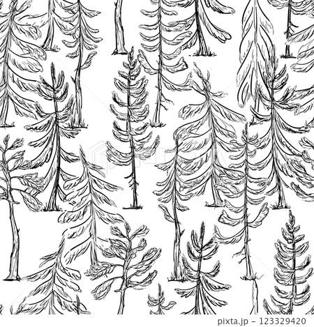 A Seamless Pattern featuring outline sketch spruce and pine Trees, executed in both Black and White Forest illustration 123329420