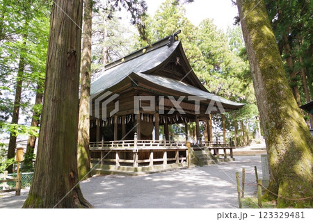 信州　諏訪　諏訪大社　上社（かみしゃ）神楽殿　諏訪神社の総本山 123329481