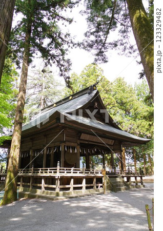 信州　諏訪　諏訪大社　上社（かみしゃ）神楽殿　諏訪神社の総本山 123329482