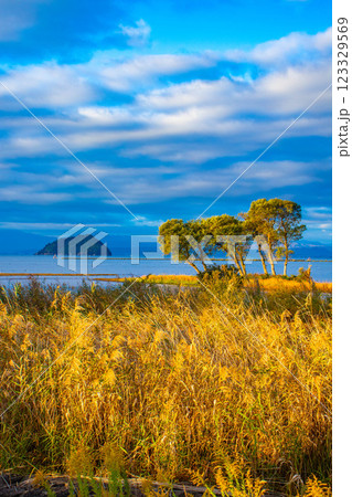 【びわ湖風景】早朝のさわやかな空気に包まれた竹生島 【びわ湖風景】早朝のさわやかな空気に包まれた竹生島 123329569