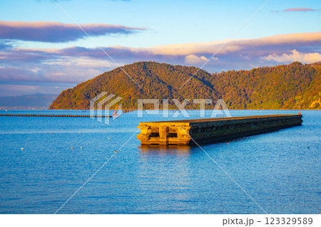 【びわ湖風景】早朝のさわやかな空気に包まれた竹生島 【びわ湖風景】早朝のさわやかな空気に包まれた竹生島 123329589