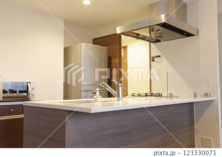 きれいなダイニングキッチン 123330071