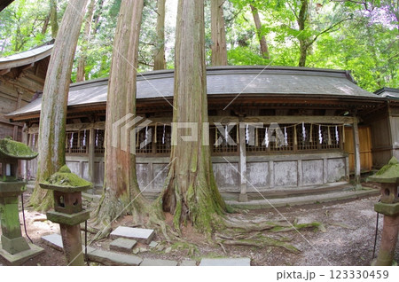 信州　諏訪　諏訪大社　摂社末社遥拝所　諏訪神社の総本山 123330459