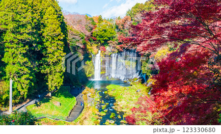 白糸の滝（秋）　[富士宮市] 123330680