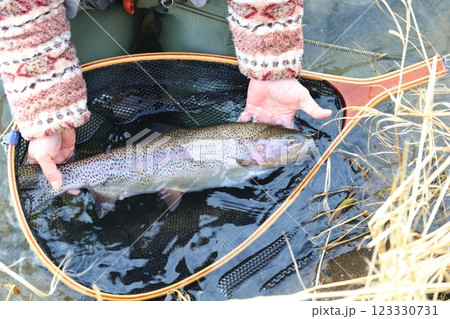 北海道　道東渓流　晩秋のニジマス 123330731