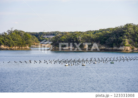 クルーズ船から望む英虞湾の風景 クルーズ船から望む英虞湾の風景 123331008
