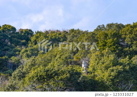 英虞湾クルーズ船から見る多徳島のパールエビス 123331027