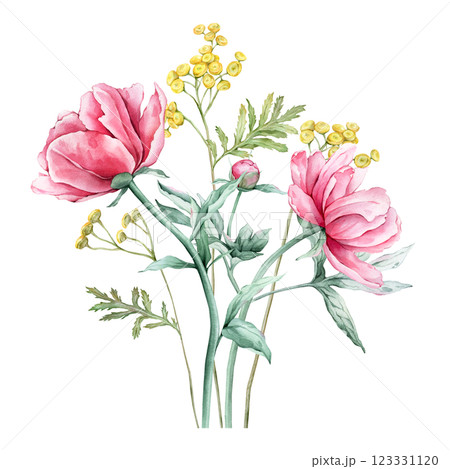 Watercolor bouquet of delicate pink peony and yellow common tansy flowers in full bloom. Hand drawn illustration beautiful floral flowers. Summer botanical plant on isolated. Elements for design Watercolor bouquet of delicate pink peony and yellow common tansy flowers in full bloom. Hand drawn illustration beautiful floral flowers. Summer botanical plant on isolated. Elements for design 123331120