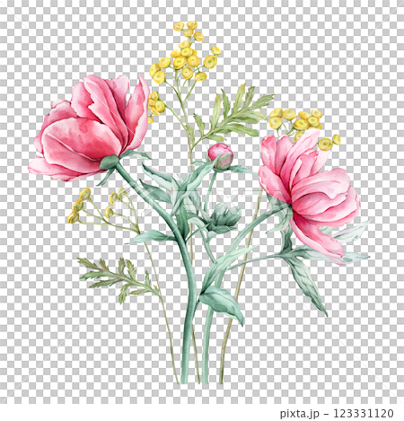 Watercolor bouquet of delicate pink peony and yellow common tansy flowers in full bloom. Hand drawn illustration beautiful floral flowers. Summer botanical plant on isolated. Elements for design Watercolor bouquet of delicate pink peony and yellow common tansy flowers in full bloom. Hand drawn illustration beautiful floral flowers. Summer botanical plant on isolated. Elements for design 123331120