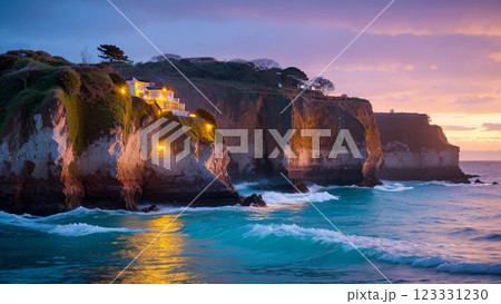 恵比須島の岩畳と夕焼け 123331230