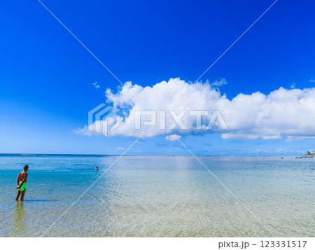 ハワイ　アラモアナビーチ 123331517