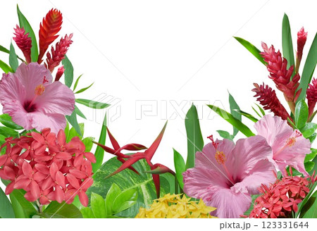 Tropical flowers arrangement with exotic leaves isolated on white background 123331644
