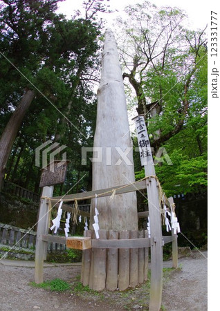 信州　諏訪　諏訪大社　御柱の木　諏訪神社の総本山 123331777