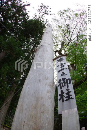 信州　諏訪　諏訪大社　御柱の木　諏訪神社の総本山 123331778