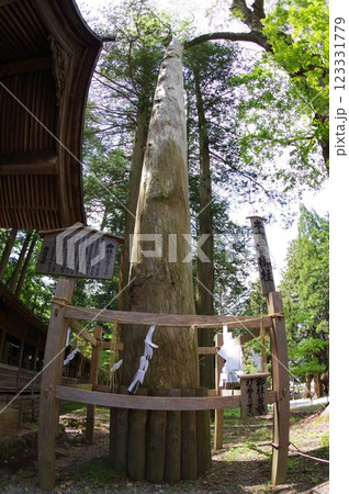 信州　諏訪　諏訪大社　御柱の木　諏訪神社の総本山 123331779