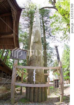 信州 諏訪 諏訪大社 御柱の木 諏訪神社の総本山 信州 諏訪 諏訪大社 御柱の木 諏訪神社の総本山 123331780
