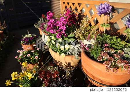 花の寄せ植え＆寄せ鉢 123332076