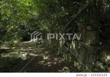 観音寺城の伝平井丸の石垣 123332125