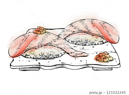 Japanese food nigiri sushi set on ceramic plate, raw fish salmon tuna shrimp seabass, caviar topping hand drawn in watercolor, ink. Illustration for restaurant, cafe menu, kitchen print, recipe book 123332245