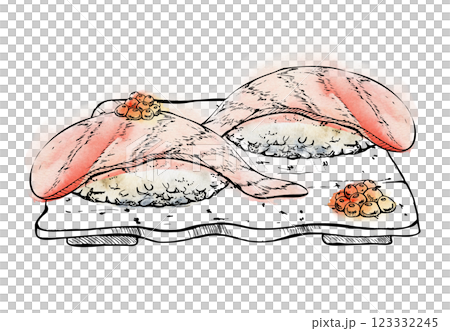 Japanese food nigiri sushi set on ceramic plate, raw fish salmon tuna shrimp seabass, caviar topping hand drawn in watercolor, ink. Illustration for restaurant, cafe menu, kitchen print, recipe book 123332245