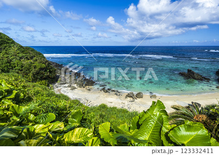 沖縄　海岸 123332411