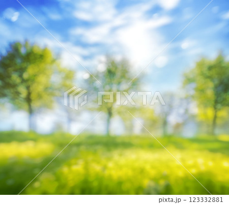 soft focus blurred grass on meadow background and trees at spring park 123332881