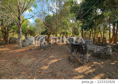 ラオスのジャール平原サイト3 123332926