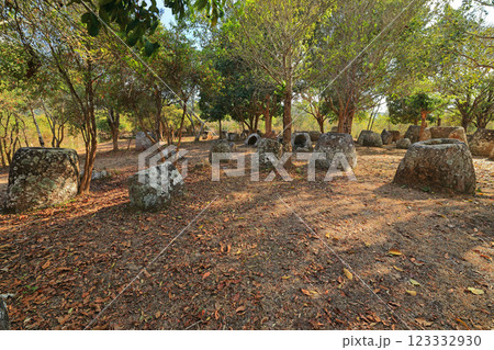 ラオスのジャール平原サイト3 123332930