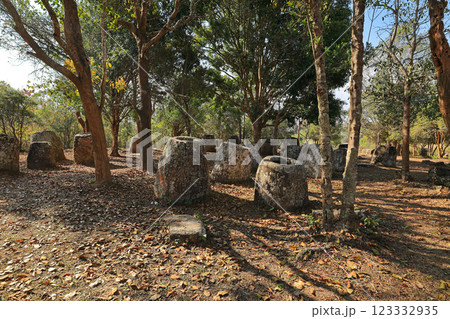 ラオスのジャール平原サイト3 ラオスのジャール平原サイト3 123332935