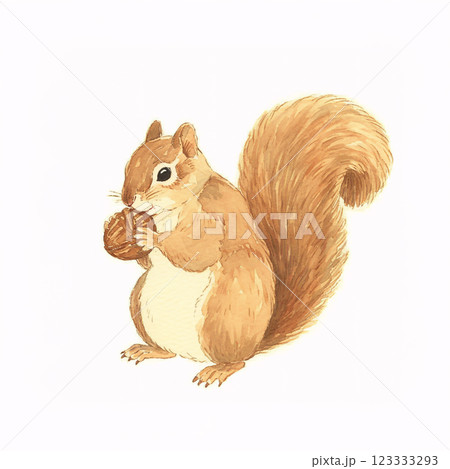 木の実を持ったリス 123333293