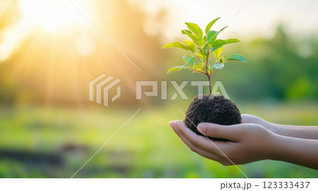 Nurturing nature, hands holding a seedling in sunlit garden, symbolizing growth and sustainability. Net zero and carbon neutral concept 123333437