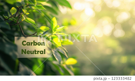 Tranquil greenery and sunlight with text space for nature design. Carbon Neutral. Net zero and carbon neutral concept 123333482