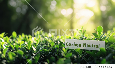 Lush greenery with nameplate under sunlight for nature conservation and eco awareness. Carbon Neutral. Net zero and carbon neutral concept 123333483