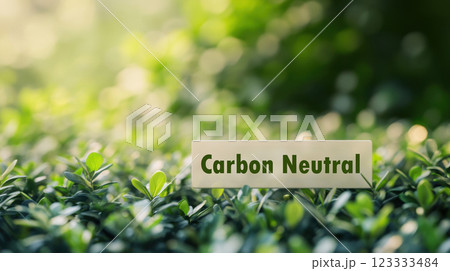 Greenery with nameplate in lush garden setting for outdoor decoration. Net zero and carbon neutral concept 123333484