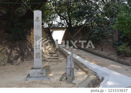 冬の仙酔島　広島 123333637