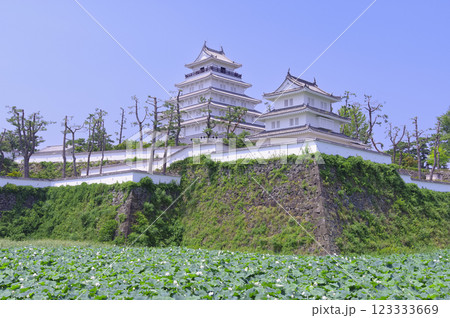 島原城 123333669