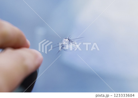 自動車のフロントガラスのひび割れ 自動車のフロントガラスのひび割れ 123333684