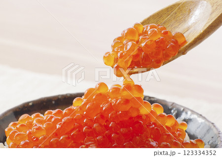 美味しそうなイクラ 美味しそうなイクラ 123334352