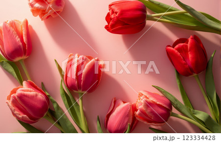 Beautiful fresh tulips with delicate petals and green leaves on pastel pink backdrop. flowers for holiday banner, International Women's Day, Mother's Day, Veterans Day, memorial, greeting Beautiful fresh tulips with delicate petals and green leaves on pastel pink backdrop. flowers for holiday banner, International Women's Day, Mother's Day, Veterans Day, memorial, greeting 123334428