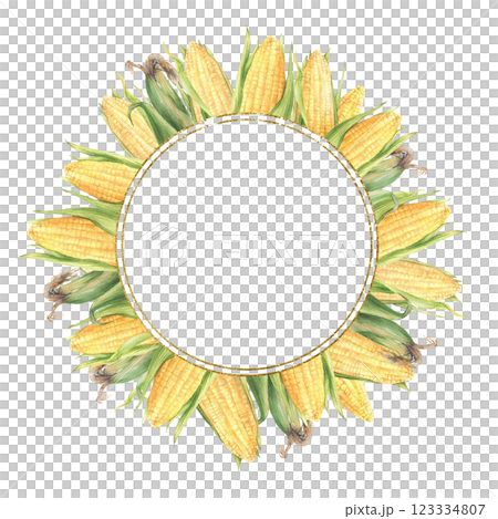 Corn cobs wreath. Sweet golden maize cobs...のイラスト素材 [123334807] - PIXTA