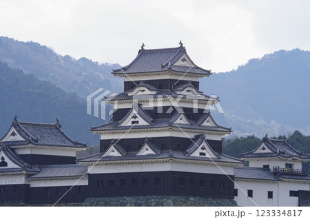 大洲城 大洲城 123334817