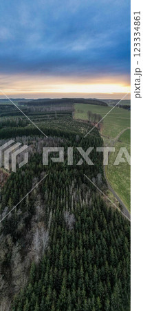 A Stunning Aerial View of Lush Green Forests and Fields at Dusk, Captivating and Idyllic A Stunning Aerial View of Lush Green Forests and Fields at Dusk, Captivating and Idyllic 123334861