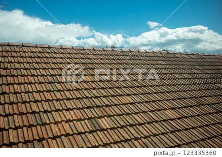 青空に映えるレンガ屋根(ヨーロッパの風景) 123335360