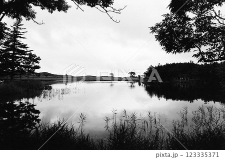 知床五湖　一湖　白黒画像 123335371