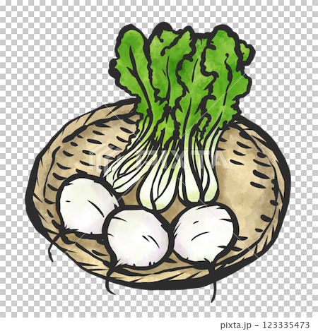 カブの手描き筆絵風イラスト カブの手描き筆絵風イラスト 123335473