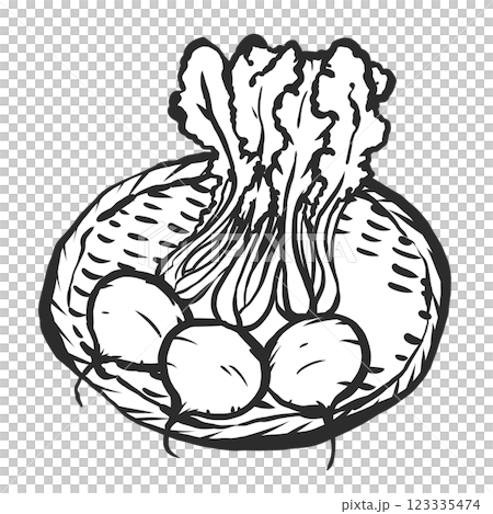 カブの手描き筆絵風イラスト 123335474