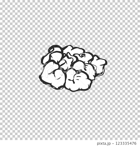 活水母的手繪插圖 活水母的手繪插圖 123335476