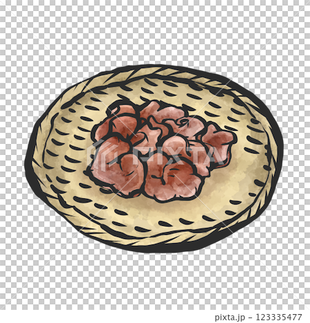 活水母的手繪插圖 活水母的手繪插圖 123335477